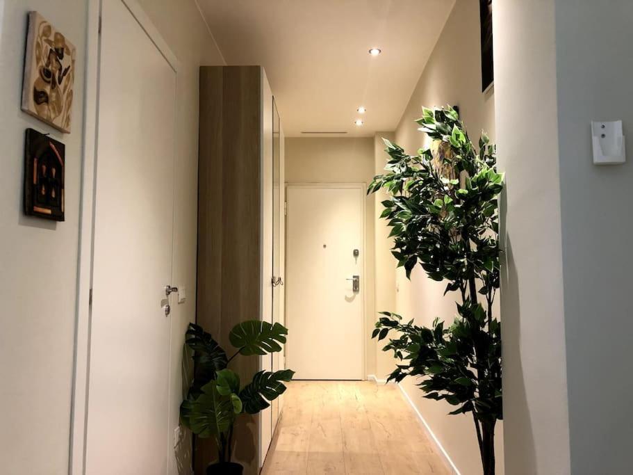 Elegante Appartamento Milano Linate Eksteriør billede